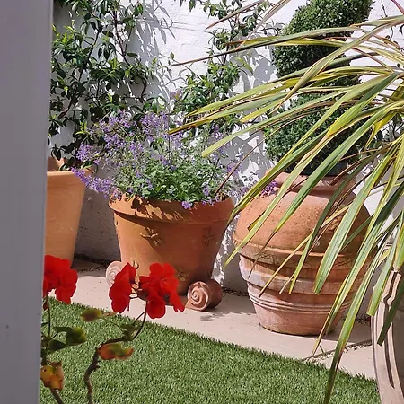 Pembroke Guest Daire *