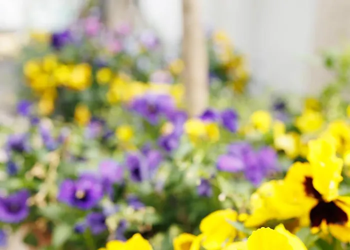 Pembroke Guest アパート