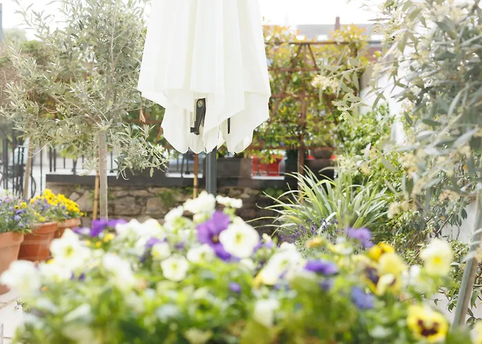 Appartement Pembroke Guest